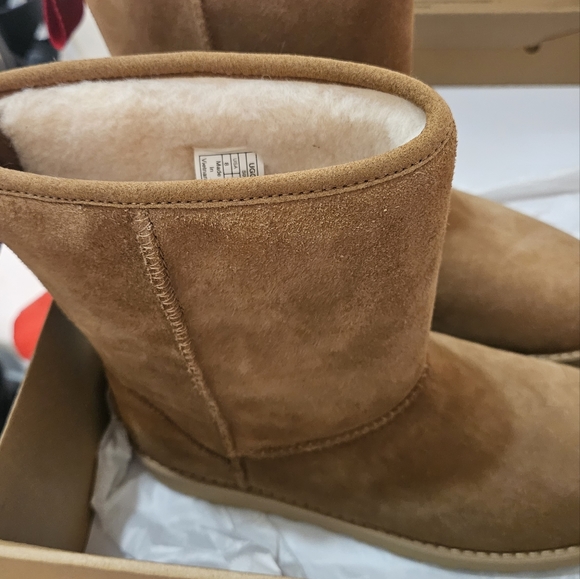 Brand new UGG - Picture 3 of 5